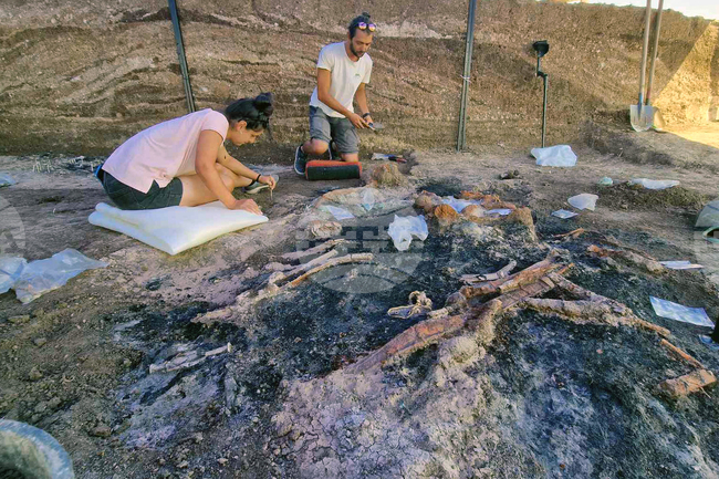 Село Капитан Петко войвода - разкопки - находки