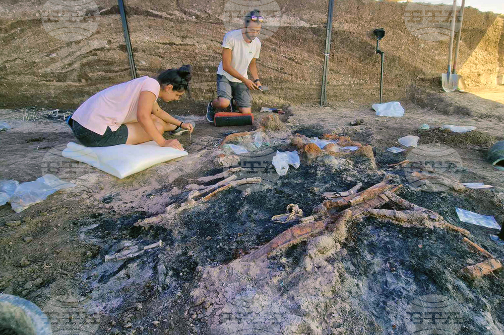 Село Капитан Петко войвода - разкопки - находки