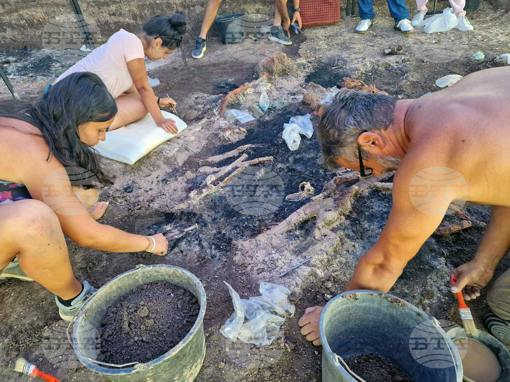 Село Капитан Петко войвода - разкопки - находки
