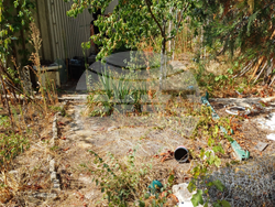 Снимка: Община Варна