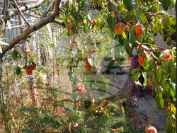 Снимка: Община Варна