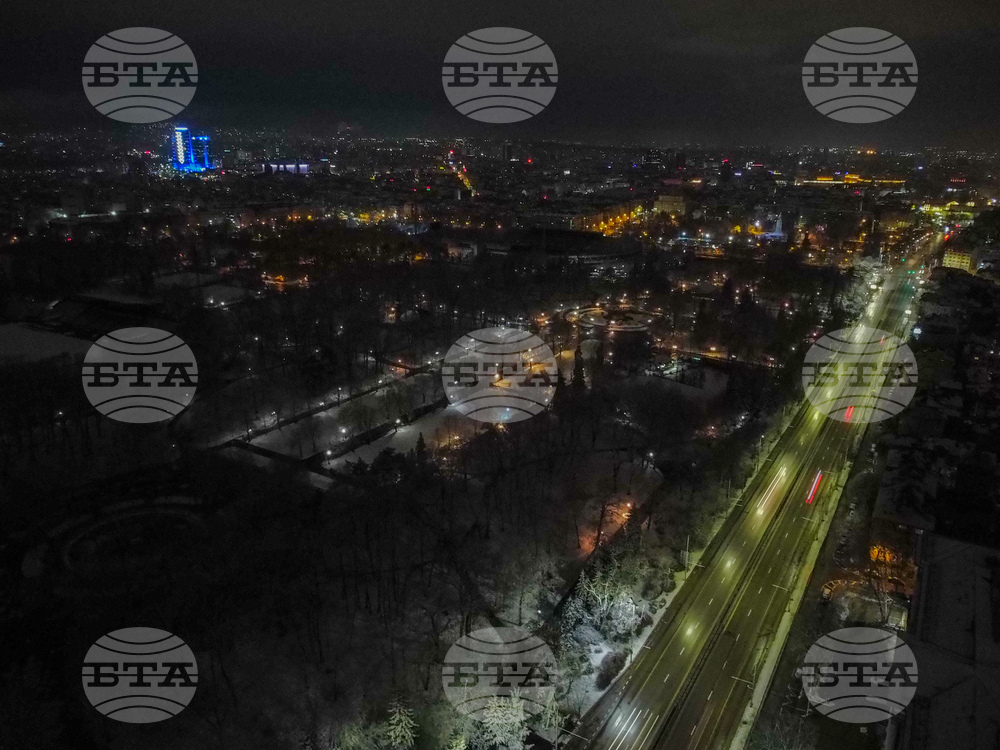 Борисова градина