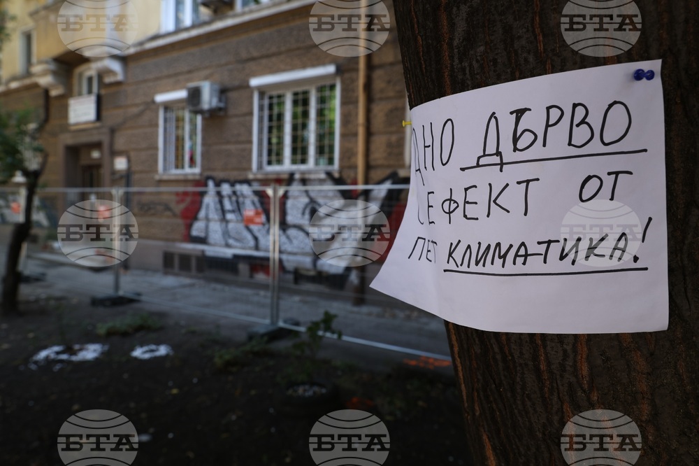 Улица „Опълченска“ - ремонт