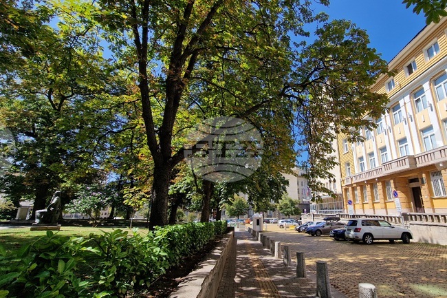 Започва ежеседмично поливане на младите дръвчета по тротоарите и край пътните артерии в София