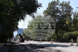 Градска среда - дървета - горещини