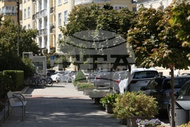 Градска среда - дървета - горещини