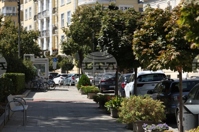 Градска среда - дървета - горещини