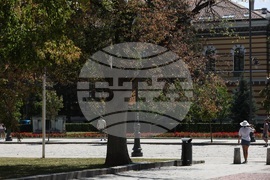 Градска среда - дървета - горещини