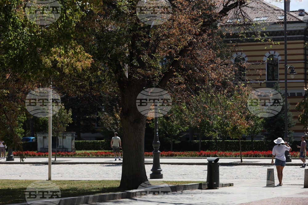 Градска среда - дървета - горещини