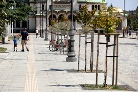 Градска среда - дървета - горещини