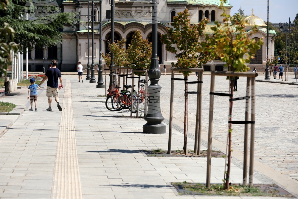 Градска среда - дървета - горещини