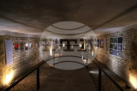 Изложба - „Визуалната история на Миколаев: Татуировки на войната"