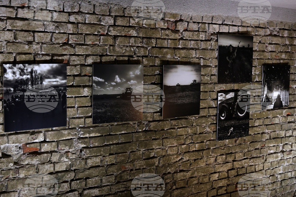 Изложба - „Визуалната история на Миколаев: Татуировки на войната"