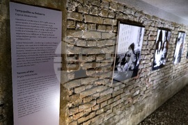 Изложба - „Визуалната история на Миколаев: Татуировки на войната"