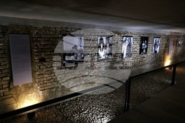 Изложба - „Визуалната история на Миколаев: Татуировки на войната"