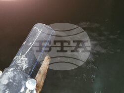 Снимка: Община Чепеларе