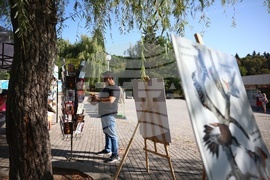 Библиотека в Зоопарка