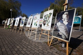 Библиотека в Зоопарка