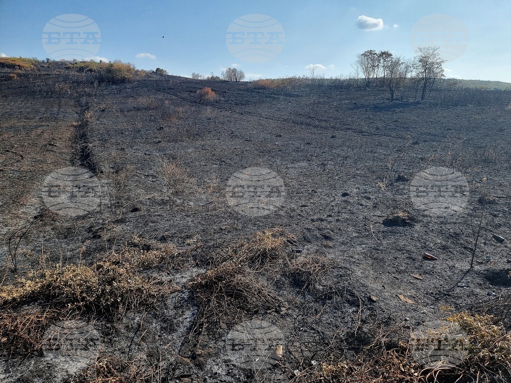 Комбайн, 30 тона торове, 5 декара овощна градина, 10 кошера и над 300 декара треви са изгорели при пожари в Монтанско вчера