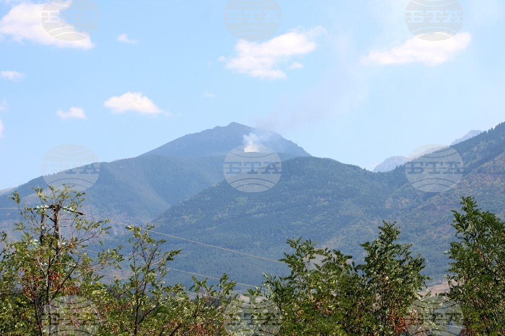 Рила планина - пожар