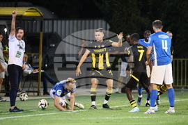 Пловдив - футбол - Ботев (Пловдив) - Спартак (Варна)