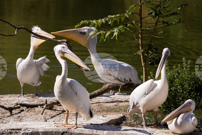 Зоологическа градина София