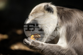 Зоологическа градина София