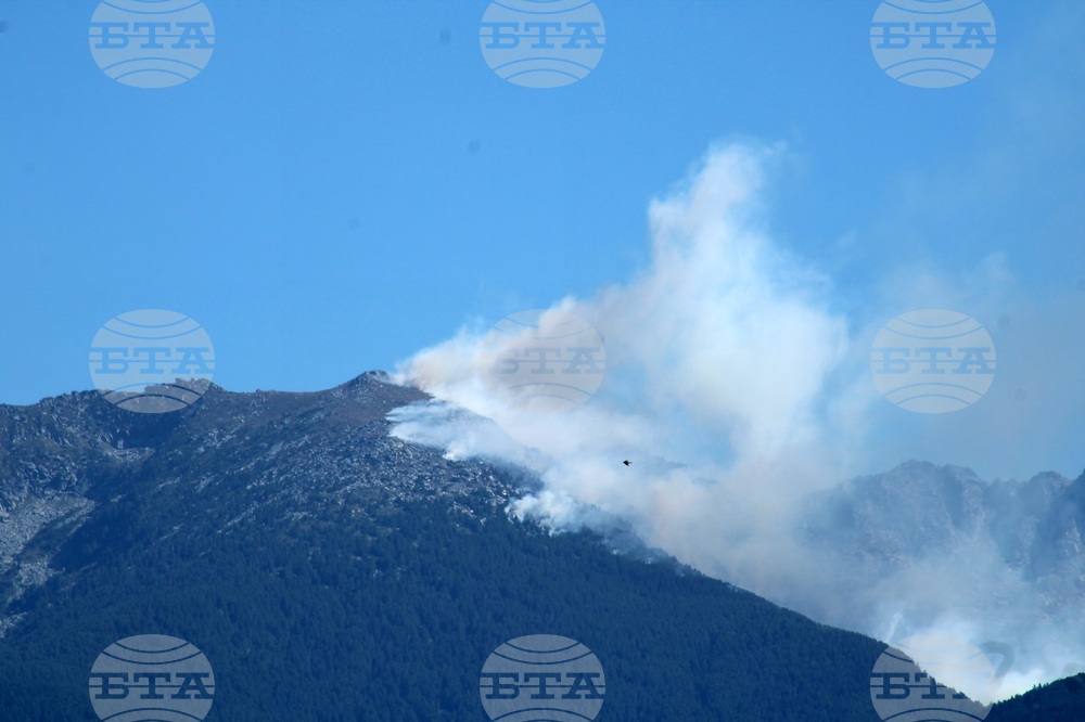 Рила планина - пожар