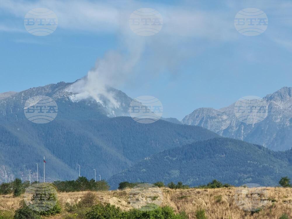 Рила планина - пожар