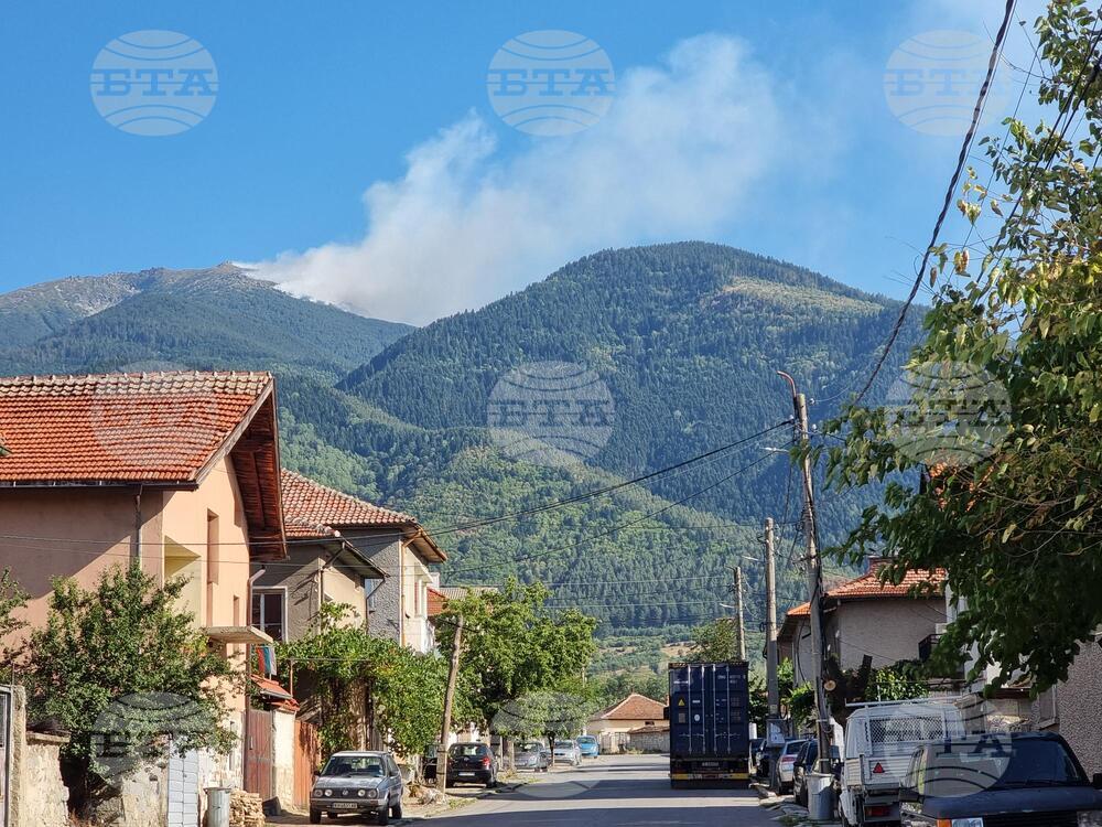 Рила планина - пожар