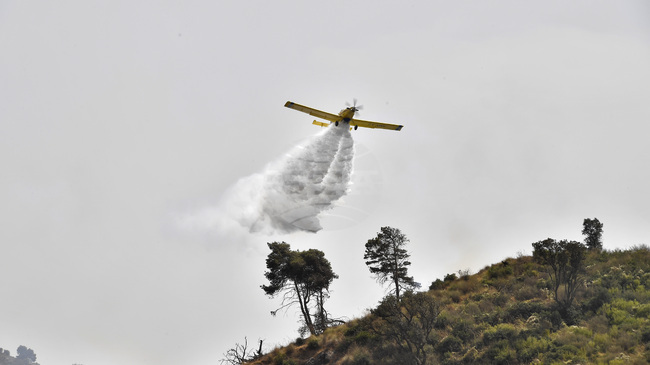 Алжирският президент нареди разследване на десетките горски пожари, които горяха през последните дни