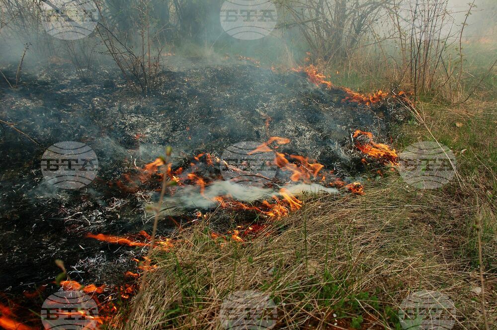Четири пожара са бушували в Монтанско в неделя, изгорели са над 800 декара