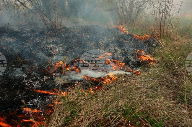 Четири пожара са бушували в Монтанско в неделя, изгорели са над 800 декара