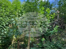 Снимка: Апелативна прокуратура Пловдив