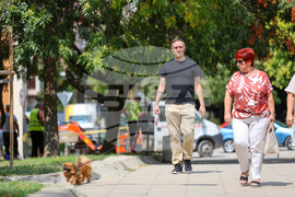 Благоевград - Световен ден на кучето - ежедневие