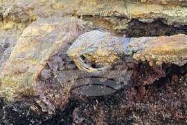 Тополовград - разкопки - златни съкровища