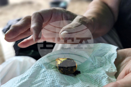 Тополовград - разкопки - златни съкровища