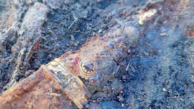 Тополовград - разкопки - златни съкровища