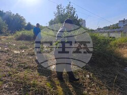 Снимка: Община Плевен