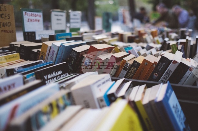 Германската писателка Урзула Крехел получи „Георг Бюхнер“ – най-престижното литературно отличие в немскоезичния свят