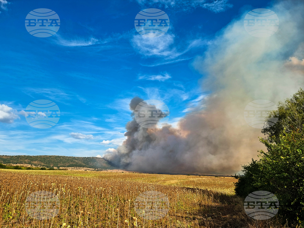 Село Вискяр, село Расник - пожар