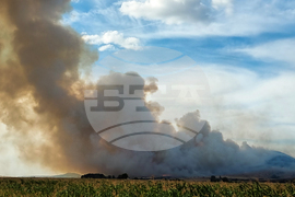 Село Вискяр, село Расник - пожар