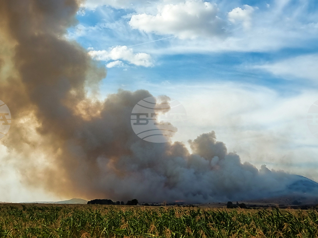 Горски пожар избухна в близост до град Измир в Западна Турция