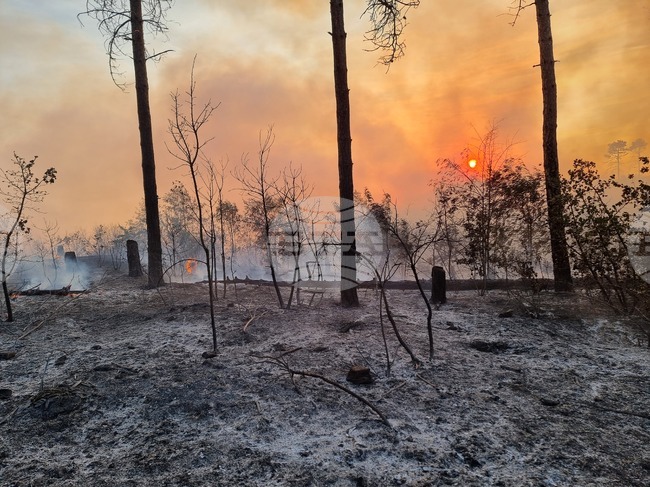 Пожар е възникнал край дряновското село Керека, огънят е локализиран, съобщиха от пожарната