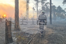 Варна - гора - пожар