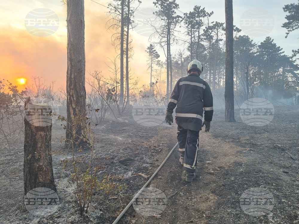 Варна - гора - пожар