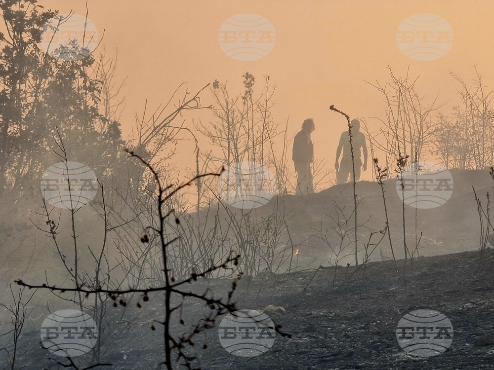 Варна - гора - пожар