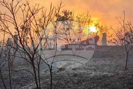 Варна - гора - пожар