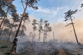 Варна - гора - пожар