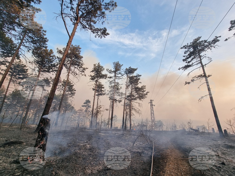 Варна - гора - пожар